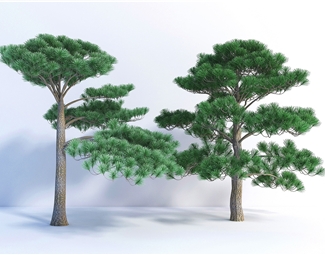 现代园林树木