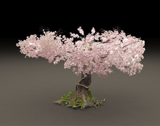 现代 樱花树