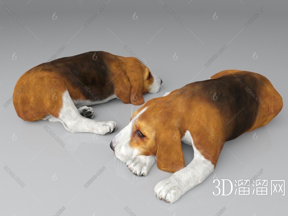现代可爱小狗狗3d模型下载