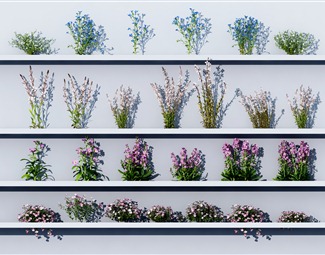 现代 花 花草