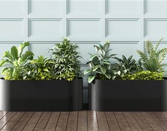 现代 植物 植物堆花架
