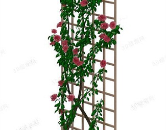 花草