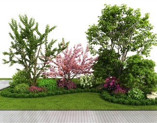 现代户外景观植物