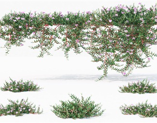 现代绿色植物