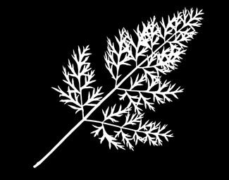 民族风黑白贴图树影贴图下载