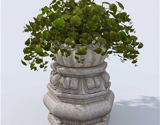 简欧 花钵 植物