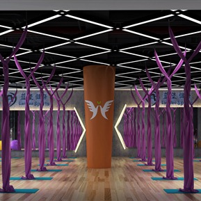 现代 瑜伽室 健身房