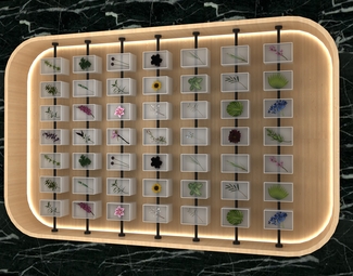 现代 展示墙 美陈翻转球植物墙