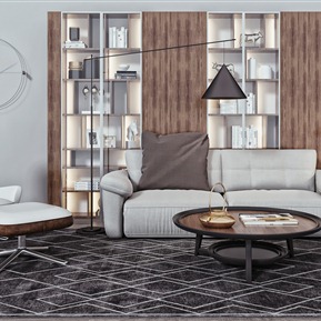 现代 沙发茶几组合 书柜