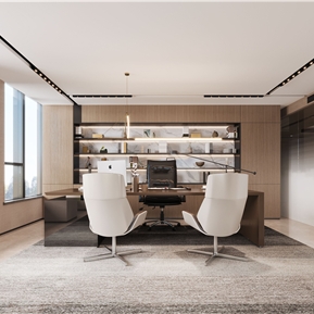 现代 办公室 总经理办公室