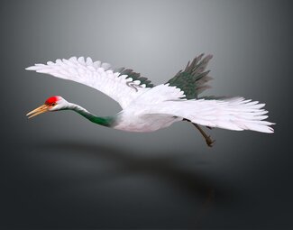 现代 仙鹤 仙鹤摆件 家具陈设
