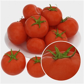 自然紅色高光光滑植物 食物 蔬菜 VR