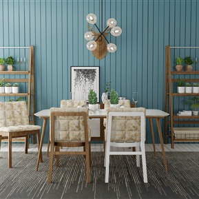 北欧 餐桌椅组合  餐桌吊灯装饰柜组合