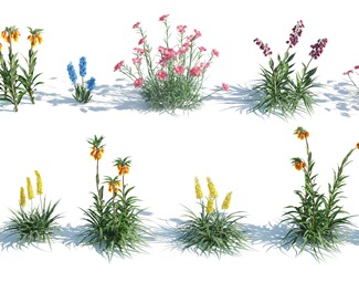现代绿色植物