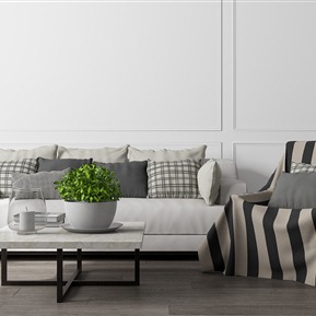 现代 沙发茶几组合