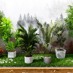 现代 盆栽 凤尾竹