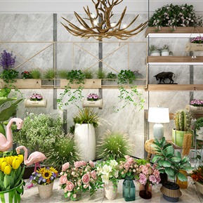 现代 盆栽 绿植组合