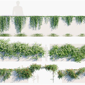 现代 藤蔓 縢蔓植物墙花架