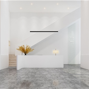 现代 前台 极简大厅前台