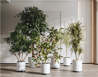 现代室外植物组合3d模型下载-3d溜溜网