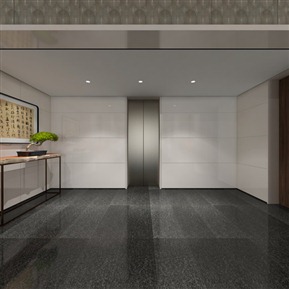 现代 电梯厅 地下室水吧区电梯厅