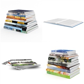 现代 书 英文书籍组合