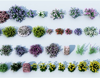 现代花组合