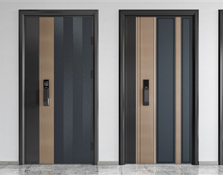现代 防盗门 入户门大门组合