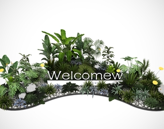 现代 植物 花圃植物组合