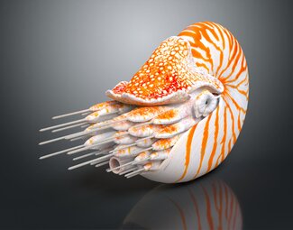 现代室内装饰品