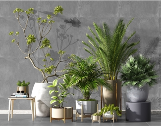 新中式绿色植物3d模型下载-3d溜溜网