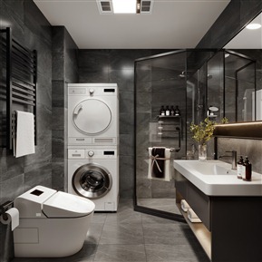 现代 卫生间 卫生间浴室