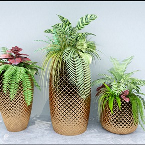 现代 花瓶 装饰花