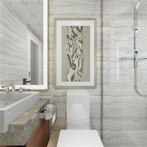 现代 卫生间 主卫