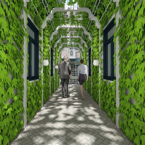 现代 走廊 绿植走廊 过道 景观