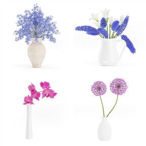 现代 花瓶 室内绿植 花卉 植物