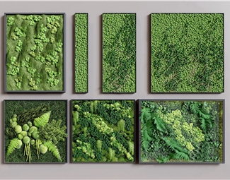现代现代植物墙植物画组合