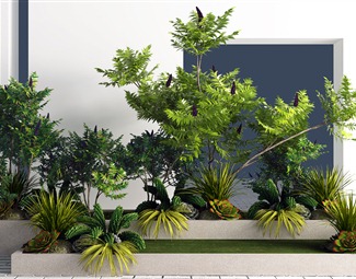 現代園藝植物3d模型下載