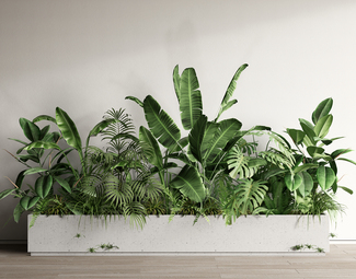 现代 植物 绿植花箱室内植物造景植物组合植物堆花池花坛