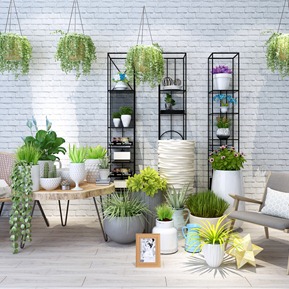 北欧 盆栽 绿植 盆景 装饰花