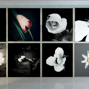 现代 植物画 装饰画 挂画 壁画