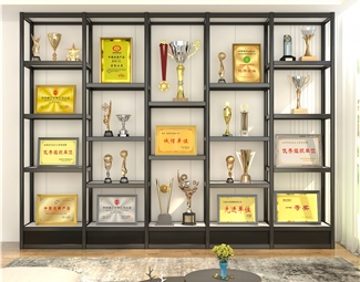 现代 展柜 奖杯荣誉柜