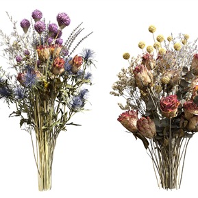 现代 花 植物花草花卉花束干花干枝