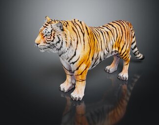 现代 老虎 猛虎 下山虎
