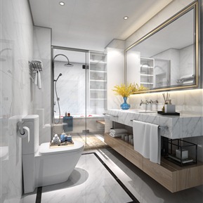 现代 卫生间