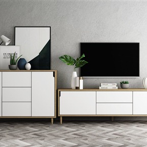 北欧 电视柜 电视柜装饰柜装饰品电视组合