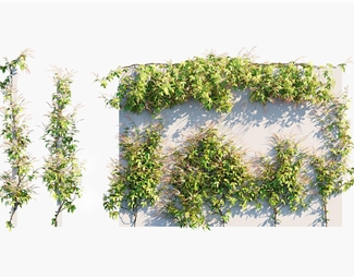 现代植物文化墙