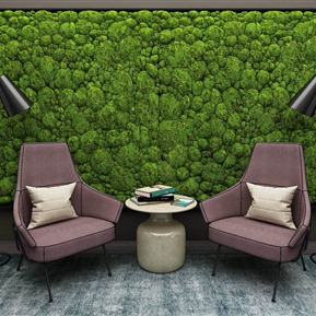 现代 休闲沙发组合 植物 绿植 景观墙