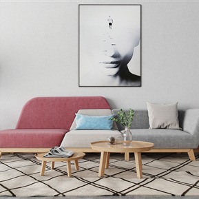 北欧 三人沙发 沙发茶几组合