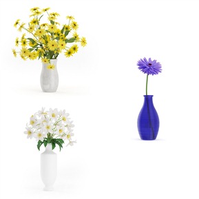 现代 花卉 室内绿植 植物